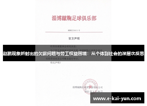 赵鹏现象折射出的欠薪问题与劳工权益困境：从个体到社会的深层次反思