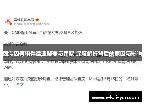 魏震因何事件遭遇禁赛与罚款 深度解析背后的原因与影响
