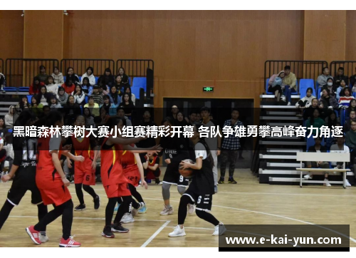 黑暗森林攀树大赛小组赛精彩开幕 各队争雄勇攀高峰奋力角逐