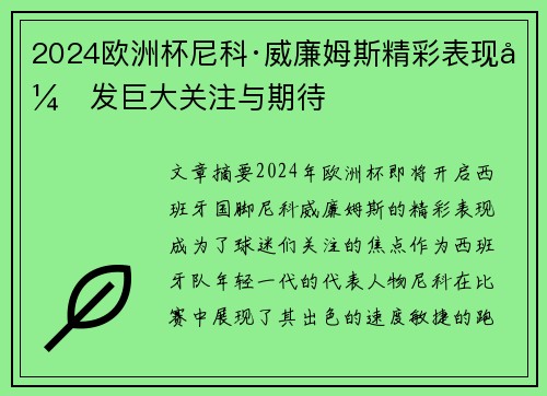 2024欧洲杯尼科·威廉姆斯精彩表现引发巨大关注与期待